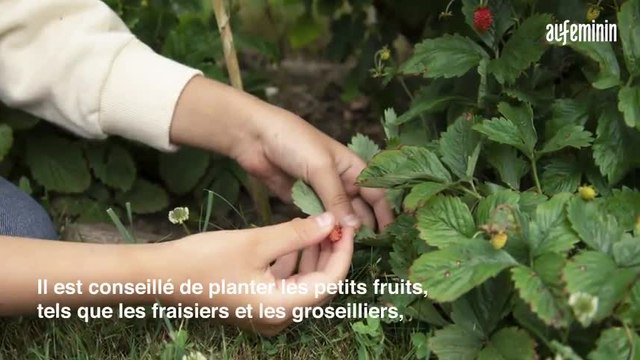 Jardinage : quelles fleurs planter ce printemps