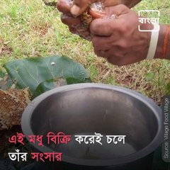 Man Attracts Bees With His Flute In Bangladesh