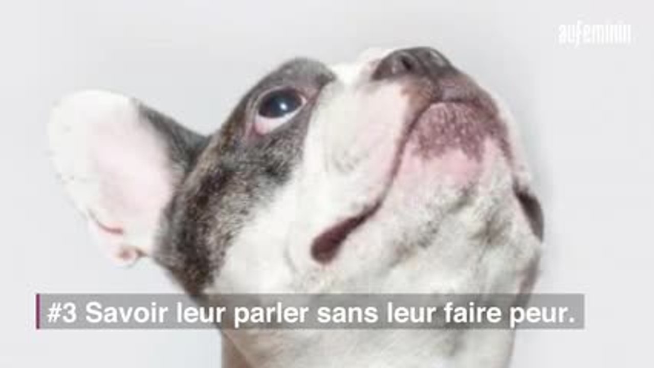 6 erreurs que les propriétaires de petits chiens