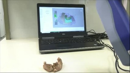 ¿Son los neandertales de Oriente Medio o de Europa?