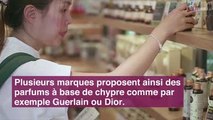 6 ans de mariage : comment célébrer vos noces de chypre