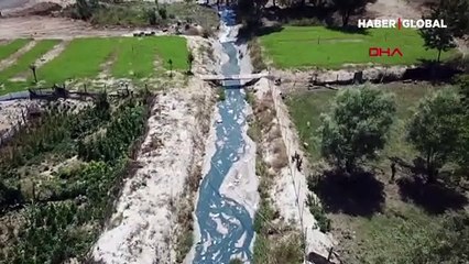 Şamlar Gölü'ne akan dereye kimyasal atık karıştı: Hayvanlar birer birer ölmeye başladı