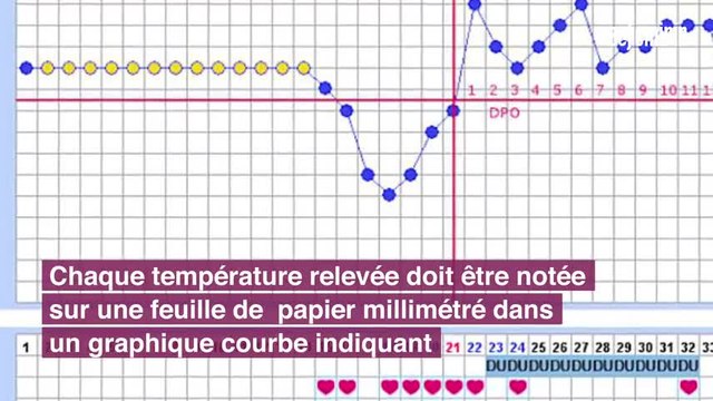 La courbe de température pour tomber enceinte