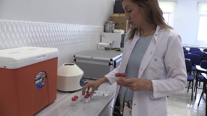 BOLU - Bor madeninden yara tedavisinde ve cilt bakımında kullanılacak krem üretildi