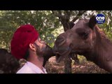 Life of Camels In India | Oneindia Malayalam