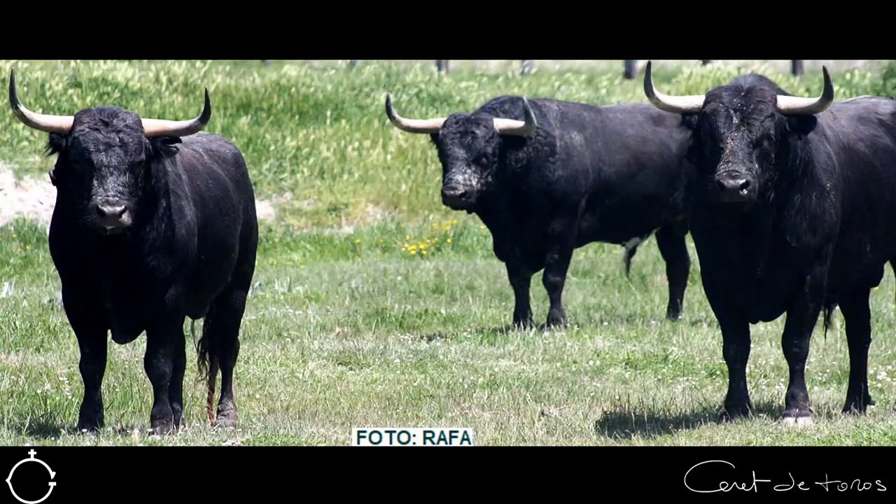 Raso De Portillo