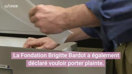 Un homme traîne son chien attaché au coffre de sa voiture