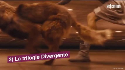 Prime Video : Les programmes à ne pas louper en juillet