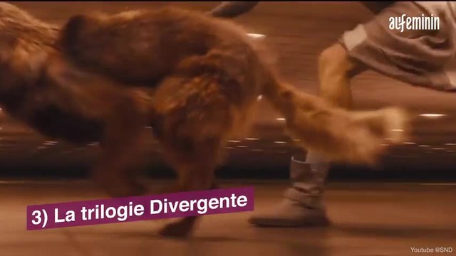 Prime Video : Les programmes à ne pas louper en juillet