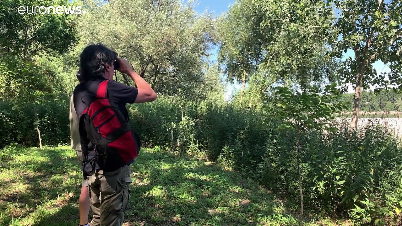 Dank EU-Coronafonds: Po auf dem Weg zur Touristen-Attraktion?