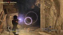 Dragon Dogma #5 Tres ogros Nv 21 en Dificil De vendedores y monstruos - canalrol 2021