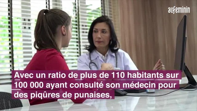 Votre région est-elle touchée par les punaises de lit