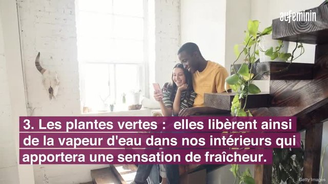 5 astuces efficaces pour rafraîchir son intérieur...