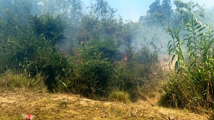 Son Dakika | Dalaman'da cezaevi çevresi ve TİGEM arazilerinde yangın (2)