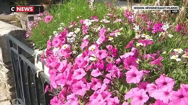 Régionales - Face aux difficultés des communes de trouver des assesseurs pour le second tour, certaines trouvent des solutions afin de laisser leurs bureaux de vote ouverts - VIDEO