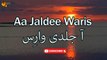 Aa Jaldee Waris | Islamic | HD Video | Labaik Labaik