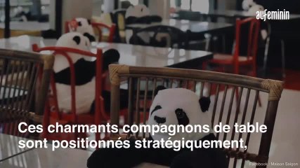 Ce restaurant propose des pandas en peluche