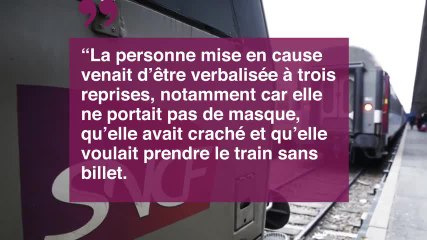Interpellation violente d'une femme enceinte à Aulnay