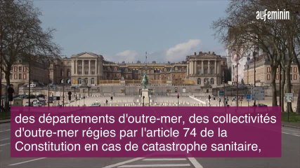 comment promener son chien sans prendre de risque