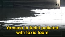 Yamuna in Delhi polluted with toxic foam