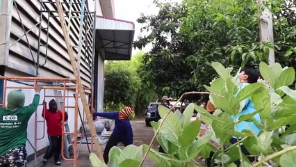 อ่างทอง ฮือฮาต่อนั่งร้านให้เจ้าหน้าที่กู้ภัยจับงูเหลือมบนที่สูงกว่า8เมตร