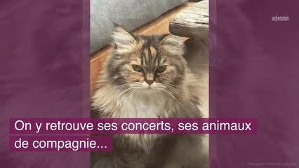 David Hallyday cloture 2019 en postant une adorablephoto de sa soeur et de son mari