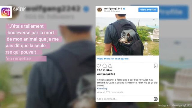 États-Unis : Il offre une vieillesse heureuse aux animaux dont plus personne ne veut
