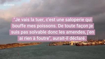 Un pêcheur frappe une femelle phoque à coups de pied