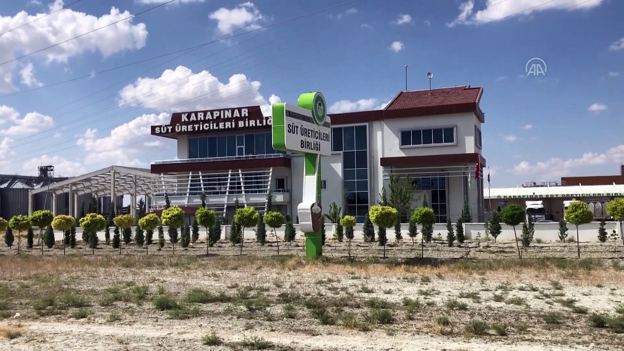 KONYA - Karapınar ilçesinden Çin'e 250 ton süt tozu ihracatı