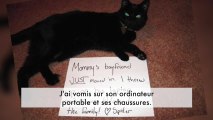 Une façon de ridiculiser son animal très gentillement !