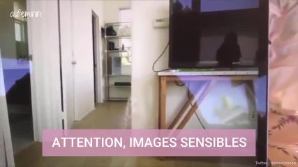 Une YouTubeuse publie par erreur une vidéo d'elle en train de battre son chien