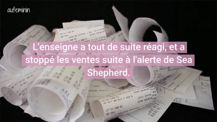 Du requin vendu à l’Intermarché