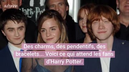 Pandora lance une collection Harry Potter