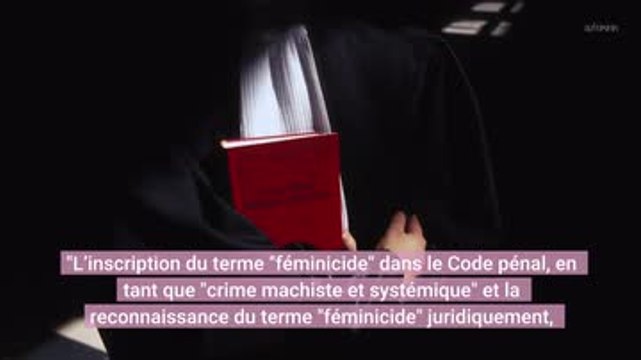 Féminicides : les proches de 34 victimes proposent des mesures avant le Grenelle des violences conjugales