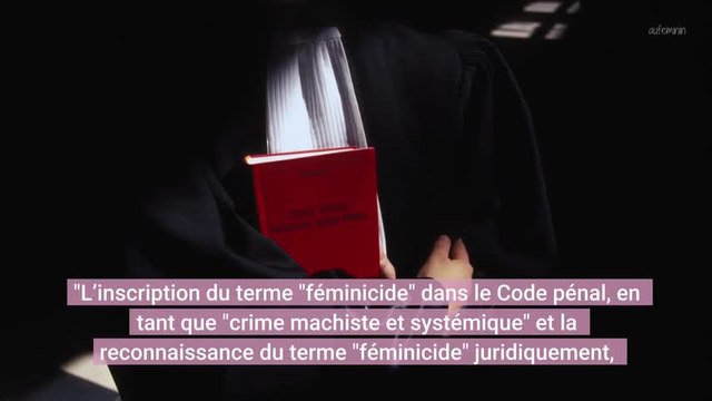 Féminicides : les proches de 34 victimes proposent des mesures avant le Grenelle des violences conjugales