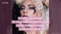 Les fans de Lady Gaga saluent les photos non retouchées de sa campagne make-up