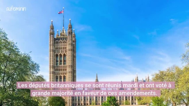 Les députés soutiennent le droit à l'avortement et le mariage pour tous en Irlande du Nord