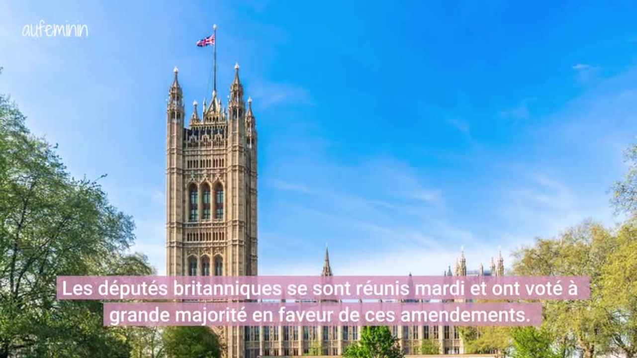 Les députés soutiennent le droit à l'avortement et le mariage pour tous en Irlande du Nord