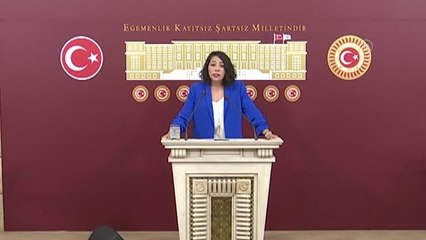 İstanbul Milletvekili Saliha Sera Kadıgil Sütlü, CHP'den ayrılarak TİP'e katıldığını açıkladı