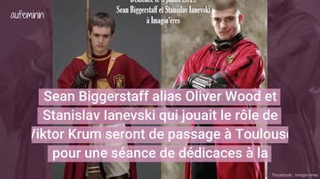 Harry Potter Toulouse
