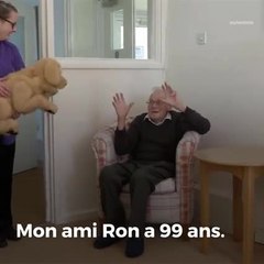 Ce chien robotique prend soin des personnes âgées !