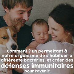 Avoir un chien serait bon pour notre santé