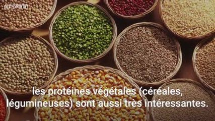 Les protéines