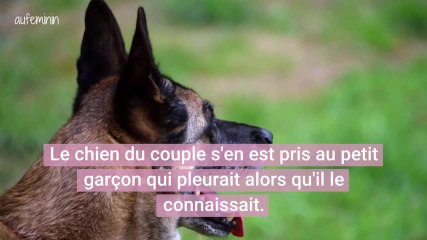 Un enfant de 3 ans mordu à 56 reprises par un chien lors d'une dispute