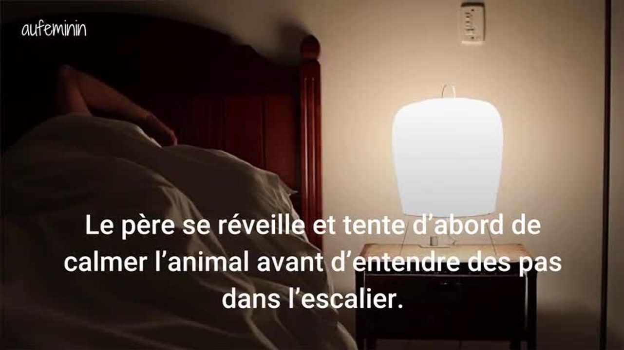 Un chien sauve une petite fille d'un enlèvement