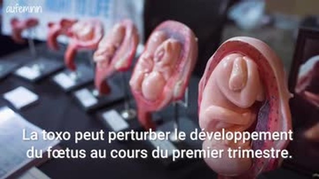 Grossesse : éviter la toxo