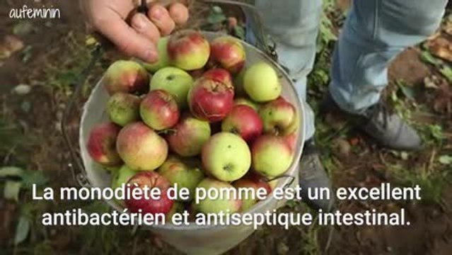 alléger votre corps monodiète