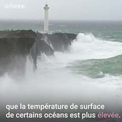 réchauffement climatique