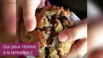 On rêve de goûter ces cookies ! Pas vous