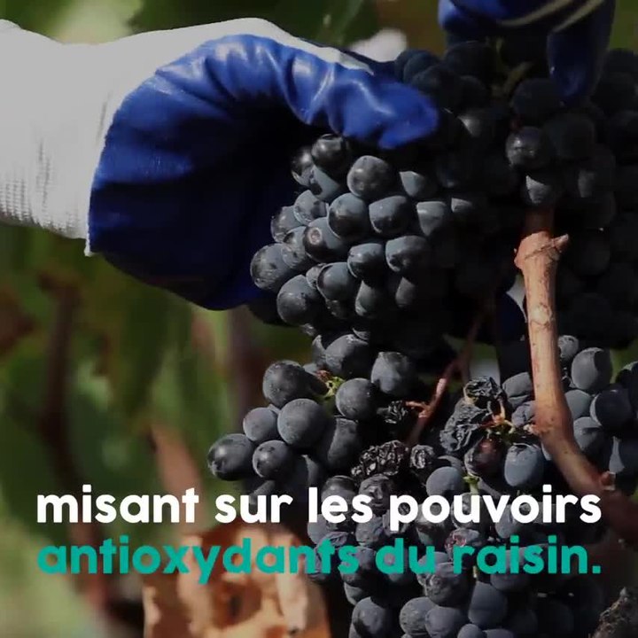 Le vin rouge nous rendrait plus jolie !